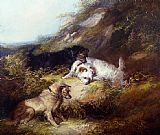 George Armfield Famous Paintings - Terriers Rabbiting